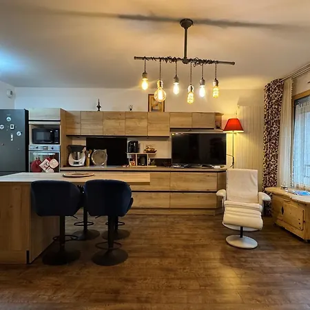 Grand T1 Bis Moderne En Avec Velo Electrique - Animaux Acceptes - Fr-1-555-124 *