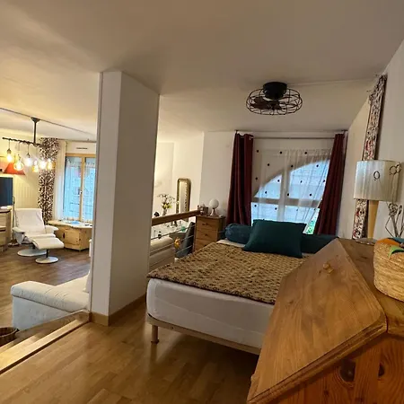 아파트 Grand T1 Bis Moderne En Avec Velo Electrique - Animaux Acceptes - Fr-1-555-124