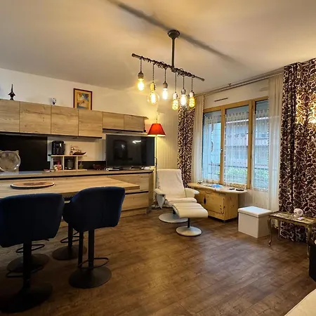 Grand T1 Bis Moderne En Avec Velo Electrique - Animaux Acceptes - Fr-1-555-124 *