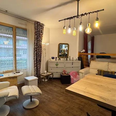 Grand T1 Bis Moderne En Avec Vélo électrique - Animaux Acceptés - Fr-1-555-124 Apartamento Aix-les-Bains