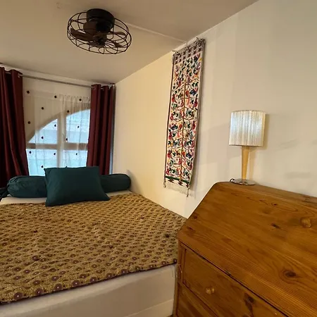 Grand T1 Bis Moderne En Avec Vélo électrique - Animaux Acceptés - Fr-1-555-124 Apartamento Aix-les-Bains