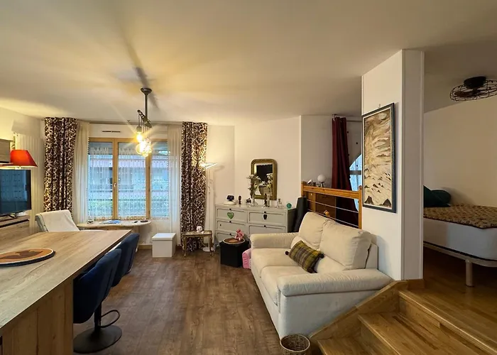 Grand T1 Bis Moderne En Avec Vélo électrique - Animaux Acceptés - Fr-1-555-124