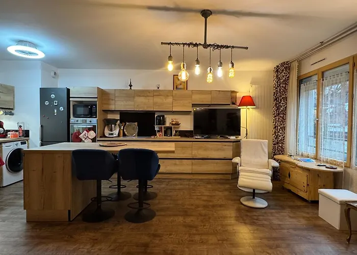 Grand T1 Bis Moderne En Avec Velo Electrique - Animaux Acceptes - Fr-1-555-124 *