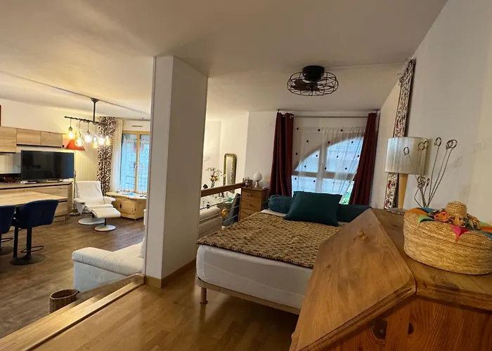 Apartamento Grand T1 Bis Moderne En Avec Vélo électrique - Animaux Acceptés - Fr-1-555-124