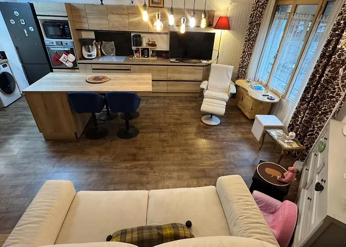 Grand T1 Bis Moderne En Avec Velo Electrique - Animaux Acceptes - Fr-1-555-124 아파트