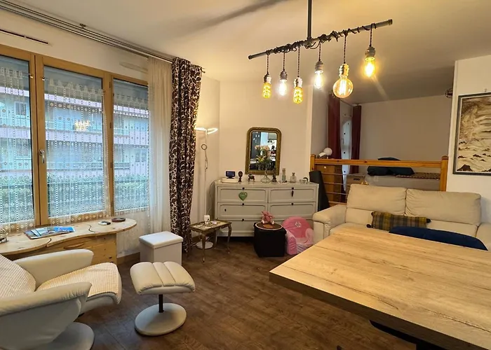 Grand T1 Bis Moderne En Avec Vélo électrique - Animaux Acceptés - Fr-1-555-124 Apartamento Aix-les-Bains