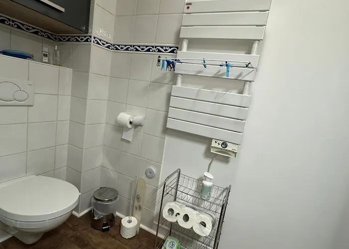 Grand T1 Bis Moderne En Avec Vélo électrique - Animaux Acceptés - Fr-1-555-124 Apartamento Aix-les-Bains