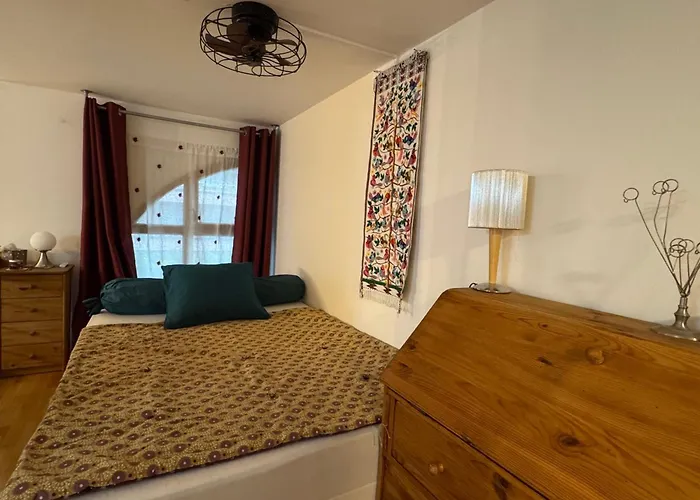 Grand T1 Bis Moderne En Avec Vélo électrique - Animaux Acceptés - Fr-1-555-124 Apartamento Aix-les-Bains